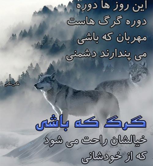 عکس برای ذات خراب