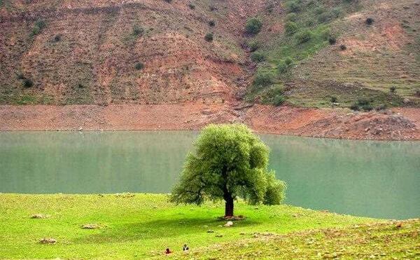 عکس بهاری خوزستان