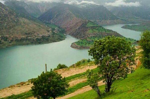 عکس بهاری خوزستان