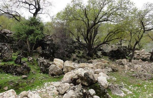 عکس بهاری خوزستان