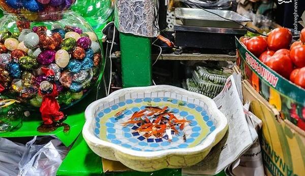 عکس شب عید