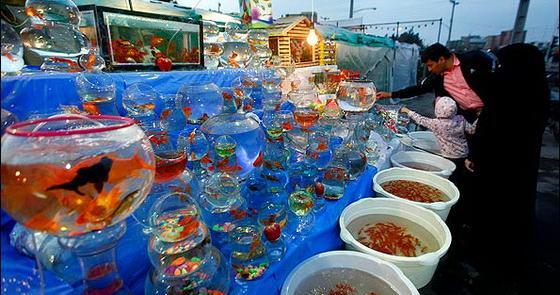 عکس شب عید