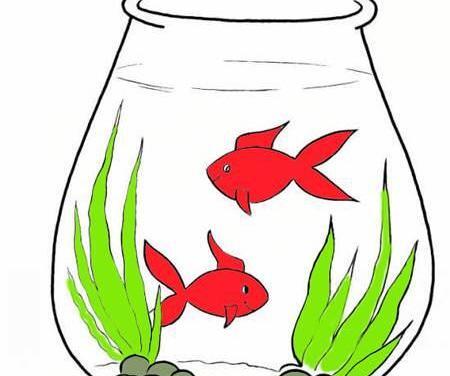 عکس نقاشی ماهی