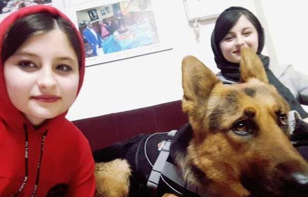 عکس سارا نیکا و مهراد جم