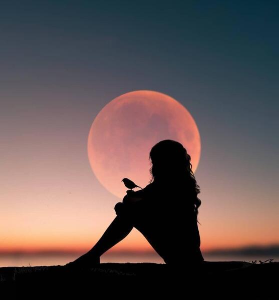 عکس دختر تنها با ماه