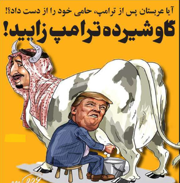 عکس گاو های شیرده