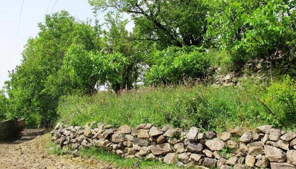 عکس روستای زینجناب