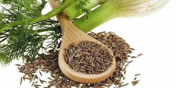 عکس میوه رازیانه