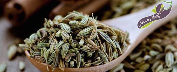 عکس میوه رازیانه