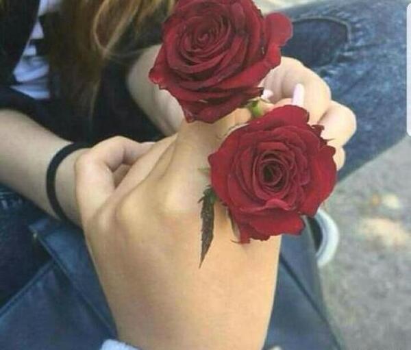عکس دونفره مشهد