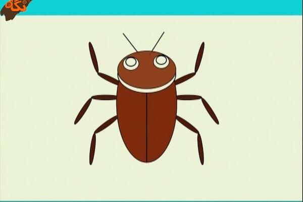 عکس سوسک برای نقاشی کودکان
