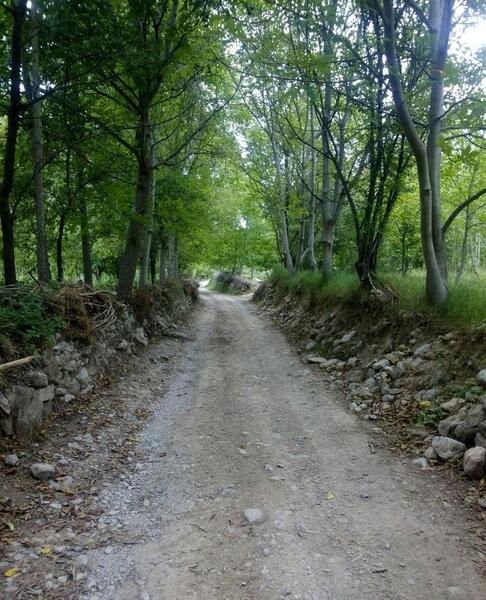 عکس روستا قوچان