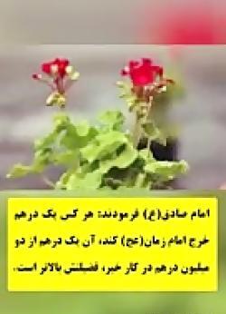 عکس استوری ظهور آقا