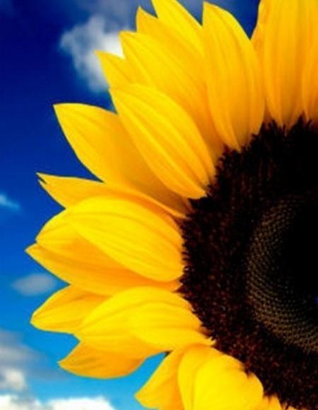 عکس صفحه گوشی با کیفیت بالا