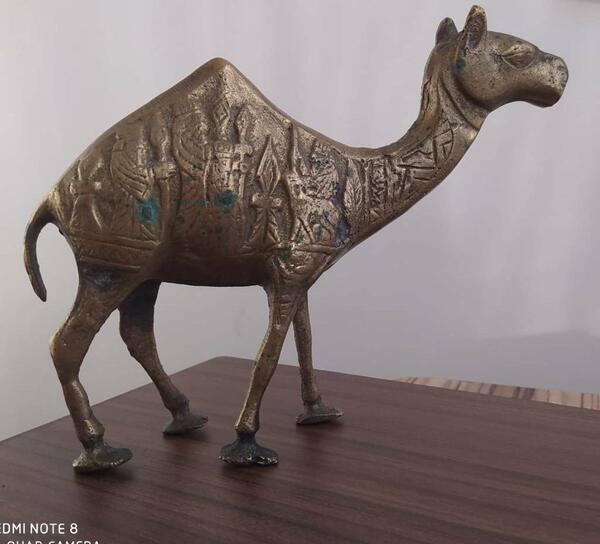 عکس شتر قدیمی