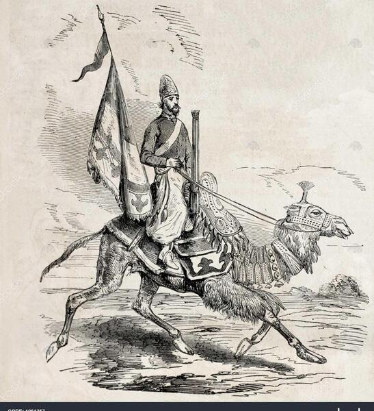عکس شتر قدیمی