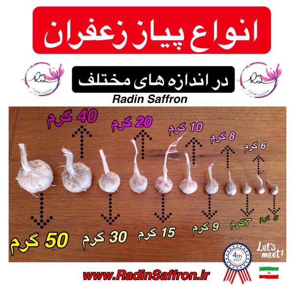 عکس پیازچه زعفران