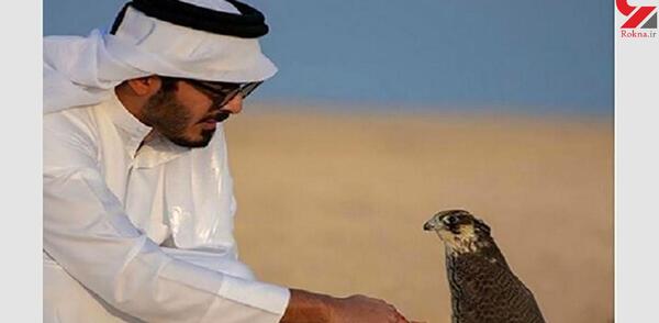 عکس سفر تفریحی
