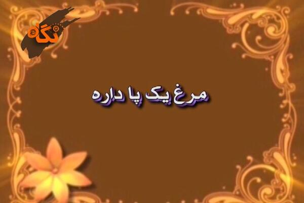 عکس ضرب المثل مرغش یک پا دارد