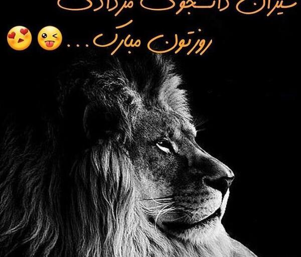 عکس شیر نماد مرداد