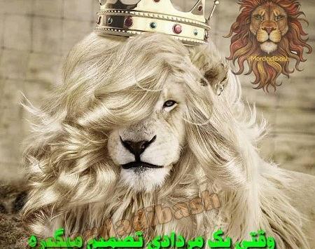عکس شیر نماد مرداد