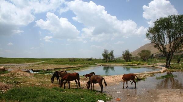عکس روستای جوانمردی