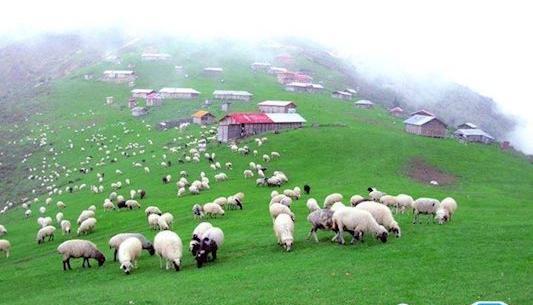 عکس طبیعت زیبای ماسال