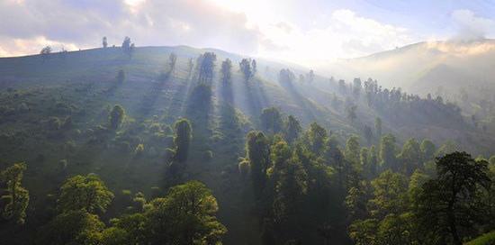 عکس طبیعت زیبای ماسال
