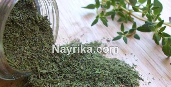 عکس گیاه اویشن خشک