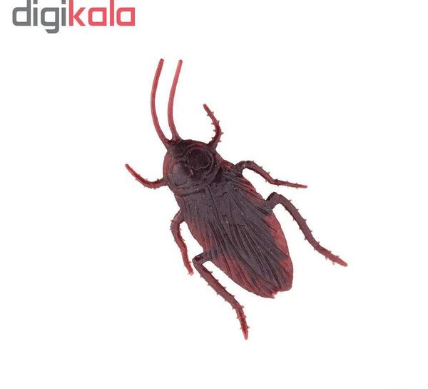عکس سوسک پخته