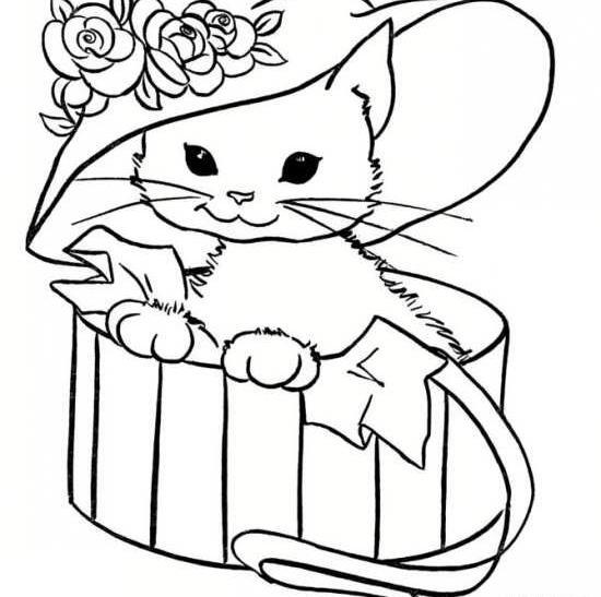 عکس گربه فانتزی برای نقاشی