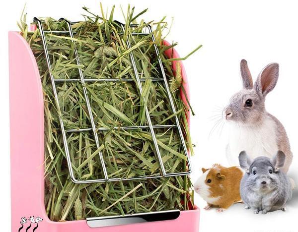 عکس یونجه برای خوکچه هندی