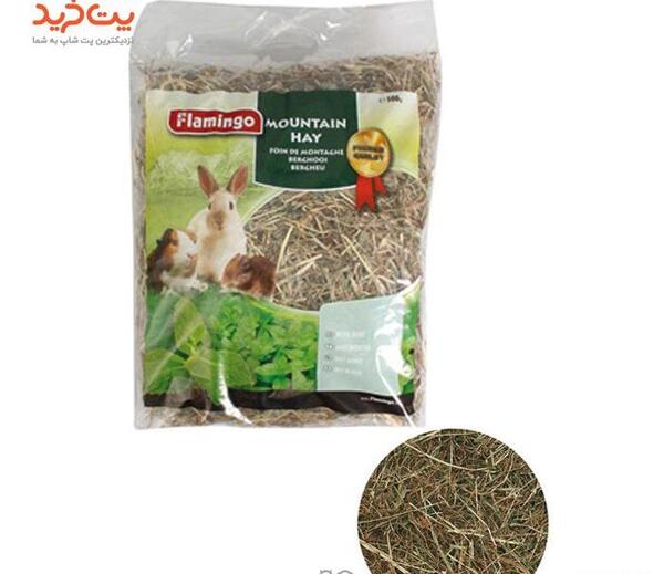 عکس یونجه برای خوکچه هندی