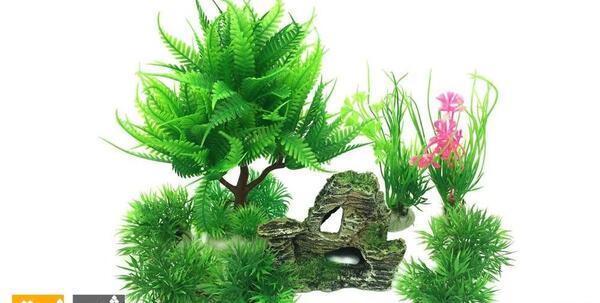عکس یونجه برای خوکچه هندی