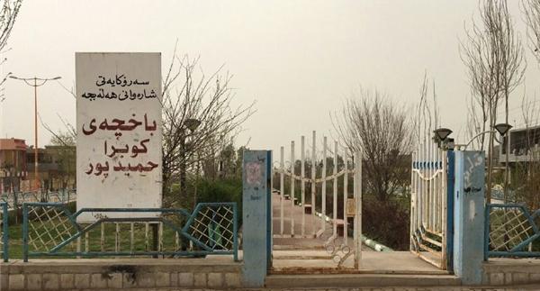عکس شهر حلبچه