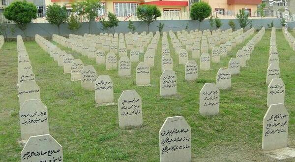 عکس شهر حلبچه