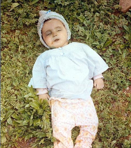 عکس شهر حلبچه