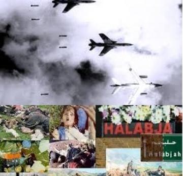 عکس شهر حلبچه