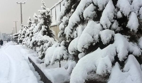 عکس کابل برف