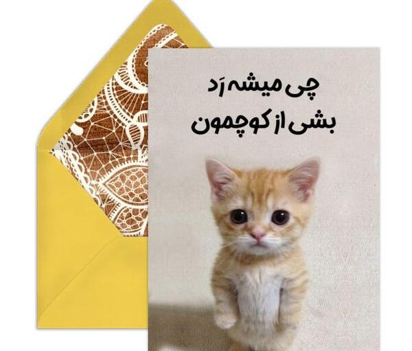 عکس گربه دلتنگ