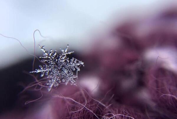 عکس زیبای ذره بین
