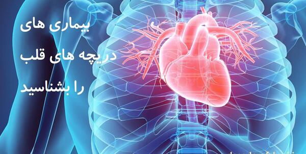 عکس قلب ریه