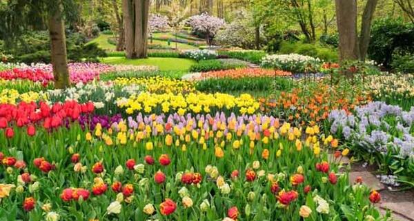 عکس جاهای دیدنی هلند آمستردام
