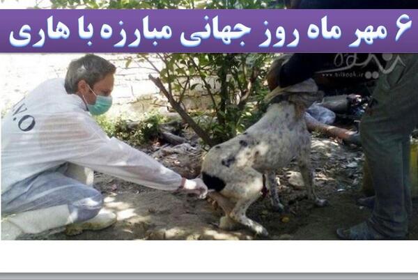 عکس سگ هار