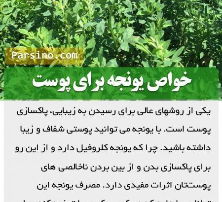 عکس هایی از یونجه