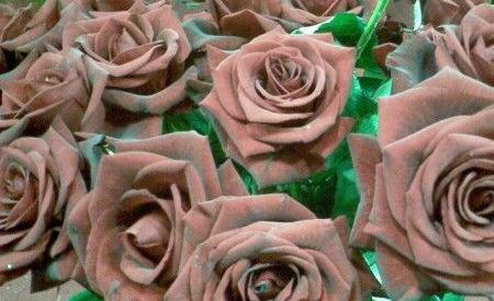 عکس گل ثمین