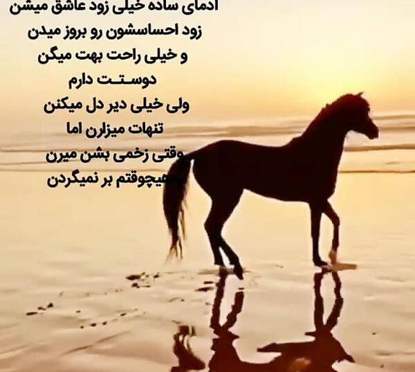 عکس استوری حرف حق