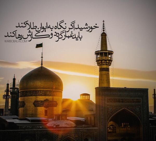 عکس حرم امام رضا با کبوتر