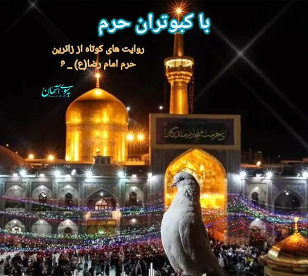 عکس حرم امام رضا با کبوتر