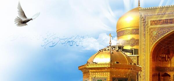عکس حرم امام رضا با کبوتر
